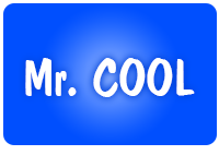 Mr. Cool Window Tinting, Orange Park